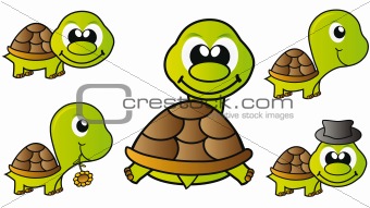 turtle set