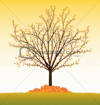 Fall vector tree from seasonal set