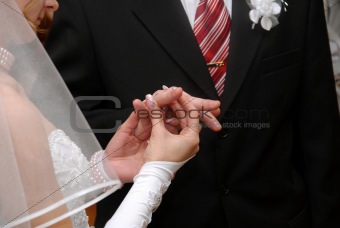 hands of newlyweds