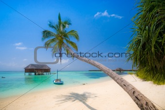Beautiful tropical beach scenery