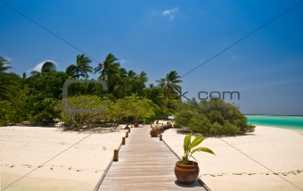 wooden jetty leading to a tropical island