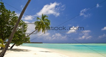 Beautiful tropical beach with palm trees