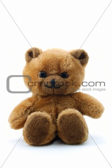 teddy bear isolated on white background