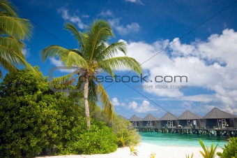 Tropical Beach with view to water bungalows
