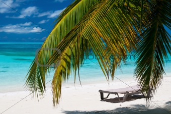 beautiful tropical beach on the maldives