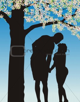 Tradition kiss under cherry bloom