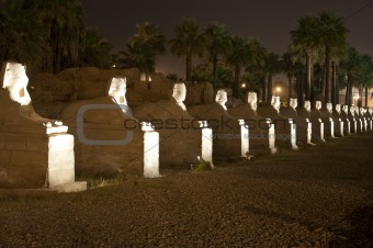 Avenue of sphinxes at Luxor Temple by night