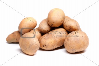 isolated potatoes