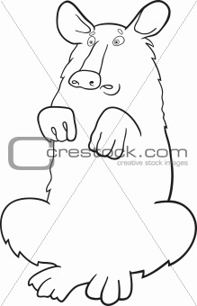 Baribal American black bear for coloring book