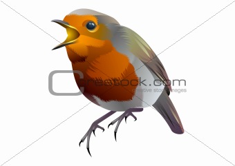 orange and gray vector bird