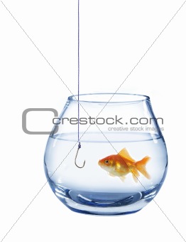 gold fish and empty hook