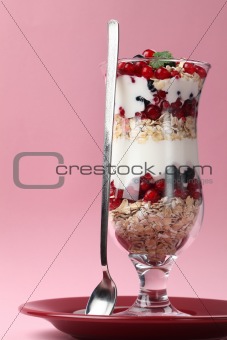 Red and black currant parfait