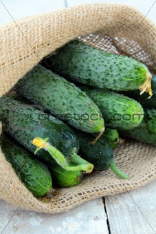 cucumbers in a linen bag on a wooden table