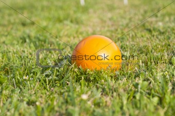 croquet ball
