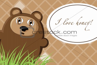 cute Bear