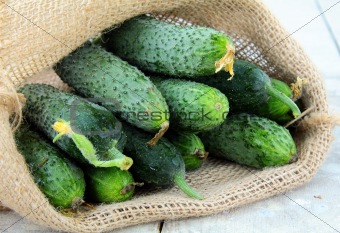 cucumbers in a linen bag on a wooden table