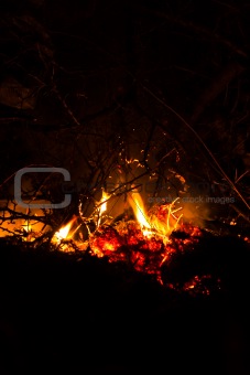Wild fire in bush with copyspace