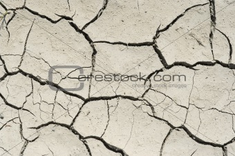 parched earth