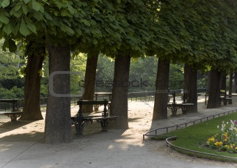 Benches In Park