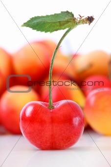Fresh ripe cherries isolated on white
