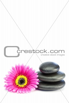 Pink and yellow flowertouching piled up pebbles