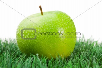 Green wet apple on grass
