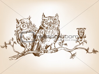 Funny owls