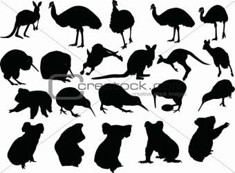 animals of australia collection