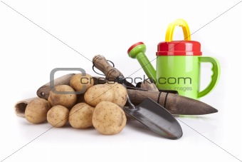Colorful watering can,potatoes and gardening tools over white 