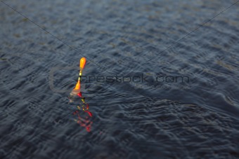Fishing Bobber on the water