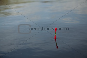 Fishing Bobber on the water