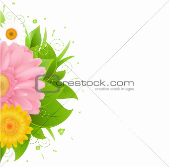 Flower And Leaves With Grass