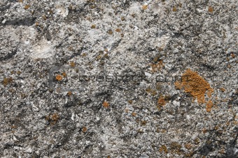 Limestone rock partly coated of lichens