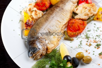 trout fish