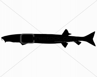 Beaked salmon silhouette