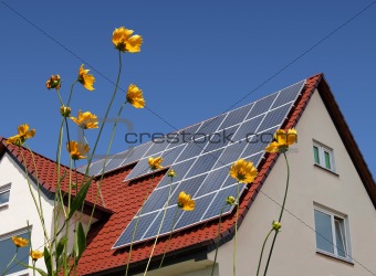 Solar cells on a roof with flowers in the foreground