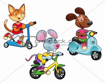 Animals on vehicles.