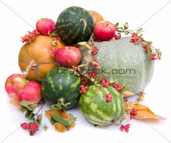 autumn harvest