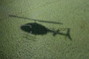 Helicopter shadow on marsh.
