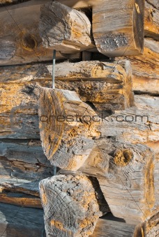 natural wood texture 