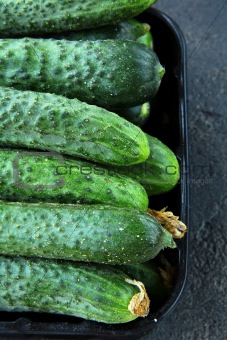 cucumbers in a box on a black background