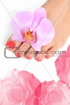 Beautiful feet leg with perfect spa pedicure on bright pink nail