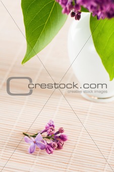Bouquet of a lilac