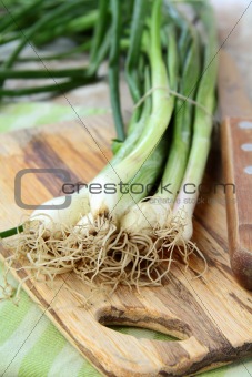 young green organic onions on a wooden board