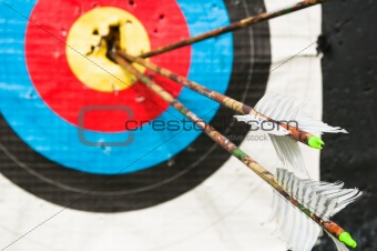 arrows in the center of the target