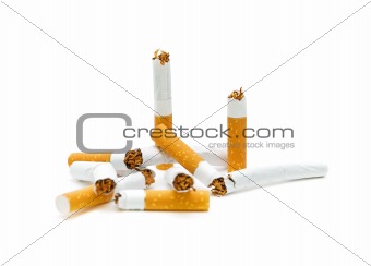 broken cigarette on a white background. No smoking.