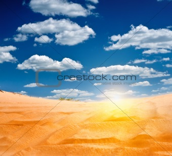 sandy desert