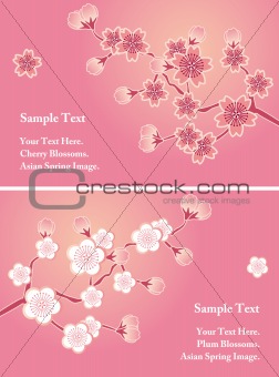 Cherry blossom cards set