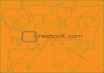 cattle illustration collection - vector