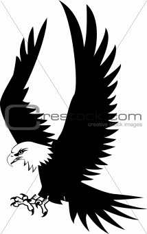 Vector eagle